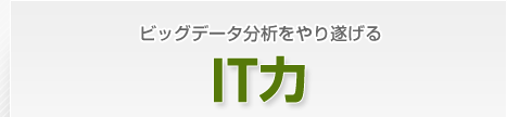 ビックデータ分析をやり遂げる　IT力